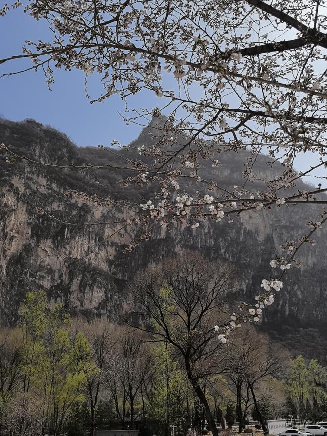 山庄拿下第1古韵时尚共生实至名归新葡京中国10大最美山庄揭晓澳涞(图5) 山庄拿下第1古韵时尚共生实至名归新葡京中国10大最美山庄揭晓澳涞(图5)
