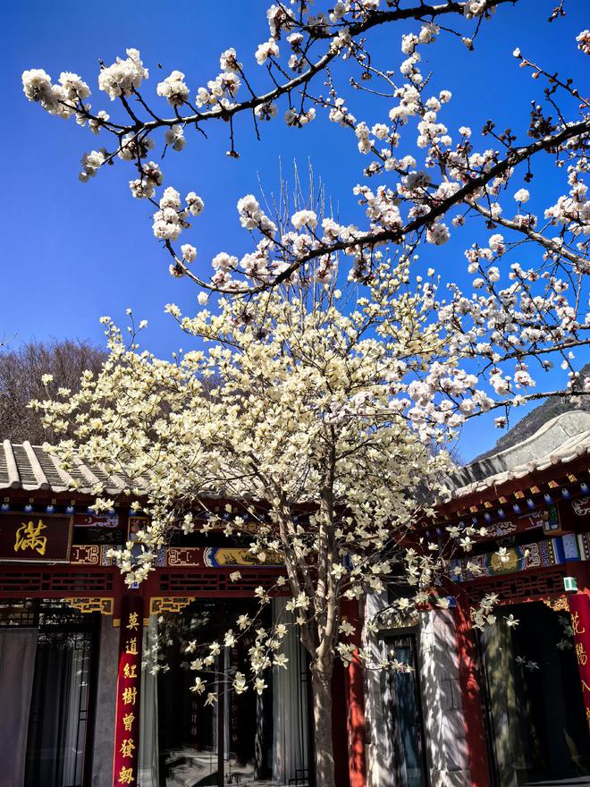 山庄拿下第1古韵时尚共生实至名归新葡京中国10大最美山庄揭晓澳涞(图11) 山庄拿下第1古韵时尚共生实至名归新葡京中国10大最美山庄揭晓澳涞(图11)