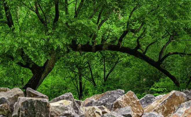 山庄拿下第1古韵时尚共生实至名归新葡京中国10大最美山庄揭晓澳涞(图10) 山庄拿下第1古韵时尚共生实至名归新葡京中国10大最美山庄揭晓澳涞(图10)